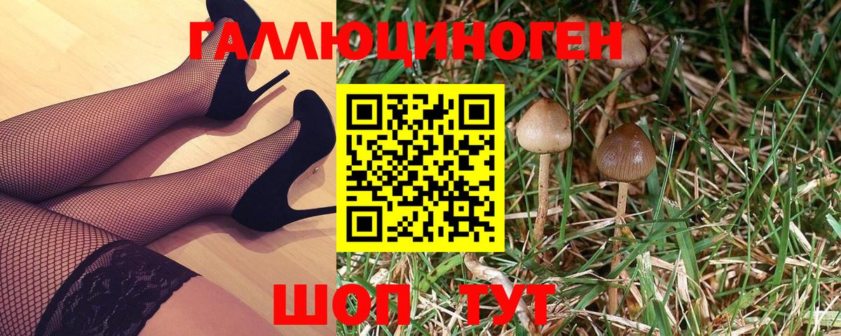 Галлюциногенные грибы ЛСД  Вход с VPN  Большой Камень 