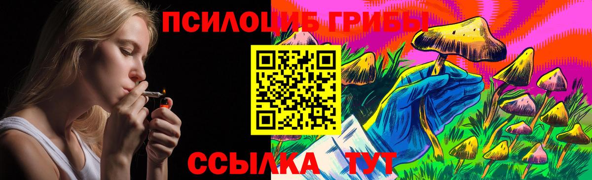 Галлюциногенные грибы прущие грибы Большой Камень